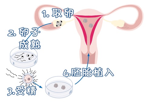 苏医生